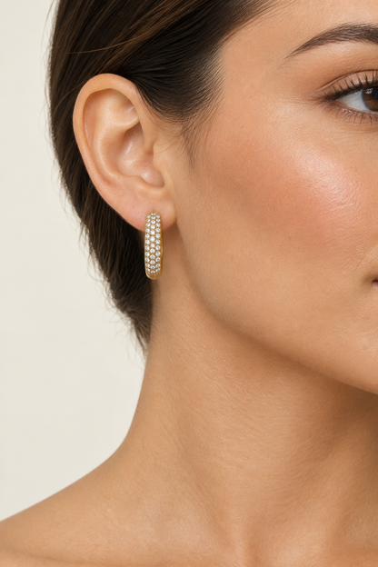 Dual Hoop Higgoes