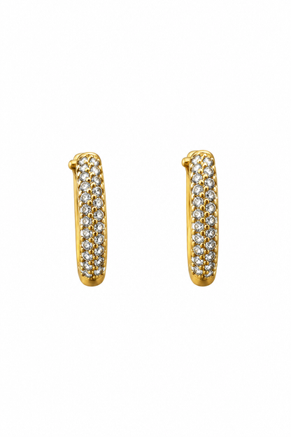 Dual Hoop Higgoes